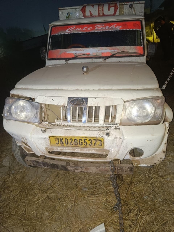 Cattle smuggling bid foiled, 10 cattle rescued, 2 vehicles seized