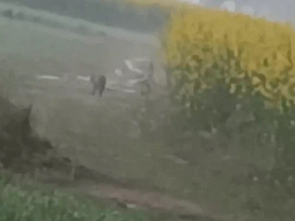 लेपर्ड का एक वीडियो भी सामने आया है।