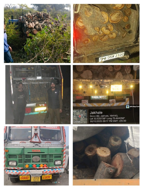 Four vehicles loaded with khair wood and illegal firewood were seized in the Rajbagh police station area. Four vehicles loaded with khair wood and illegal firewood were seized in the Rajbagh police station area.