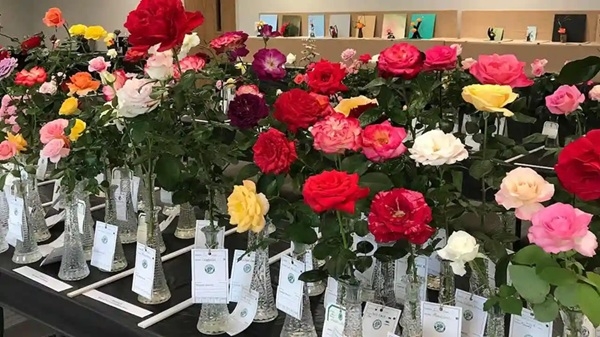 प्रतीकात्‍मक फोटो