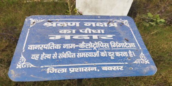 ग्रामीणों को प्रकृति और ज्योतिष से जोड़ रही नक्षत्र वाटिका