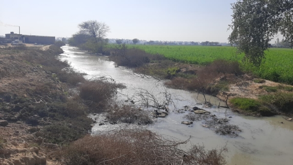 पनीर व पेठा फैक्ट्री से निकले पानी से पूरी तरह दूषित होता ड्रेन का पानी |