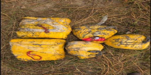 पंजाब पुलिस व बीएसएफ द्वारा बरामद हेराेइन पंजाब पुलिस व बीएसएफ द्वारा बरामद हेराेइन