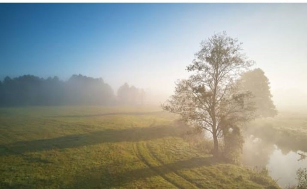कोहरे में शून्य के करीब पहुंची दृश्याता, धीमी गति से चले वाहन कोहरे में शून्य के करीब पहुंची दृश्याता, धीमी गति से चले वाहन