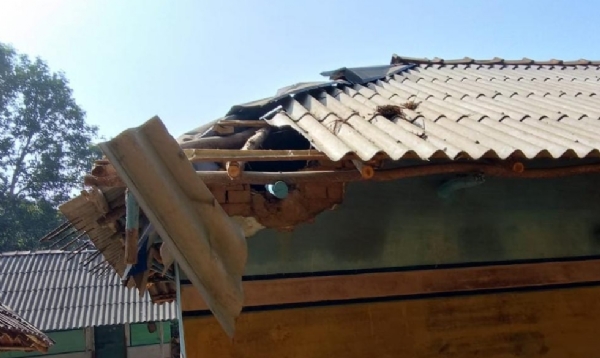 फसलें रौंदी, घर क्षतिग्रस्त फसलें रौंदी, घर क्षतिग्रस्त