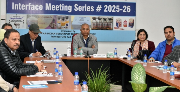 आईवीआरआई, इज्जतनगर में आयोजित इंटरफेस बैठक में ओडिशा के प्रमुख सचिव श्री सुरेश कुमार वशिष्ठ (आईएएस) और निदेशक, पशुपालन एवं पशु चिकित्सा सेवाएं, श्री विजय अमृता कुलांगे आईवीआरआई निदेशक डॉ. त्रिवेणी दत्त के साथ बैठक के दौरान विचार-विमर्श करते हुए। आईवीआरआई, इज्जतनगर में आयोजित इंटरफेस बैठक में ओडिशा के प्रमुख सचिव श्री सुरेश कुमार वशिष्ठ (आईएएस) और निदेशक, पशुपालन एवं पशु चिकित्सा सेवाएं, श्री विजय अमृता कुलांगे आईवीआरआई निदेशक डॉ. त्रिवेणी दत्त के साथ बैठक के दौरान विचार-विमर्श करते हुए।
