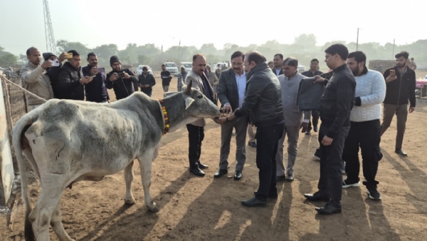 जिलाधिकारी जिलाधिकारी