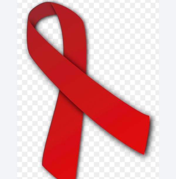 गूगल फोटो गूगल फोटो