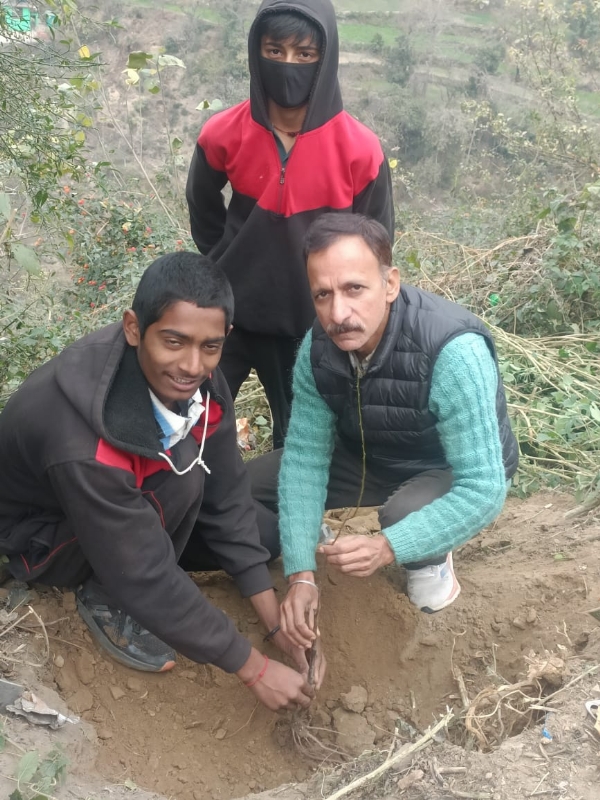 पौध रोपण करते हुए शिक्षक राजीव कुमार।