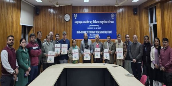 आईवीआरआई में मार्च में होगा बेसिक-2026 राष्ट्रीय पशु विज्ञान कॉन्क्लेव