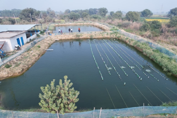 खेत तालाब योजना बनी किसानों का सहारा, मोती की खेती से बढ़ेगी आमदनी