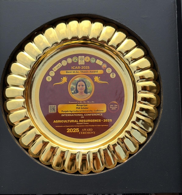 पुरस्कार का चित्र।