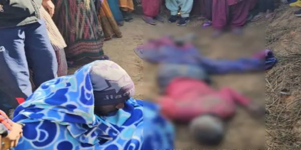 हाथी ने एक को कुचला, मौत