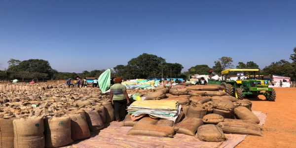 जशपुर: धान खरीद केंद्र की पारदर्शी व्यवस्था से किसान खुश, 200 क्विंटल धान बेची आसानी से