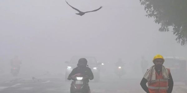घने कोहरे से मध्‍य प्रदेश बेहाल, 17 जिलों में दृश्यता घटी, 7 जिलों में शीतलहर का अलर्ट