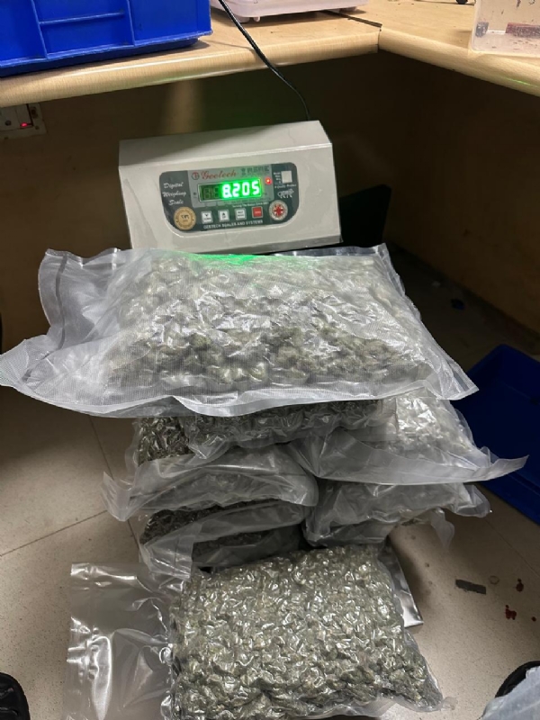 बरामद गांजा/मारिजुआना की फाेटाे