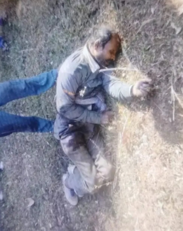 उग्र दंतैल हाथी