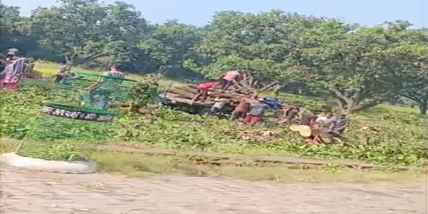 बिजनौर : मंडावर के आमों की मिठास पर चल रहा आरा, वन व उद्यान विभाग की कार्यप्रणाली पर उठे सवाल