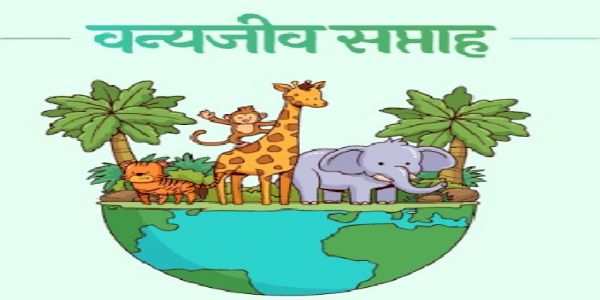 वन्यजीव सप्ताह में गूंजेगा संरक्षण का संदेश: तेंदुआ संरक्षण और मानव-वन्यजीव सह-अस्तित्व पर रहेगा जोर
