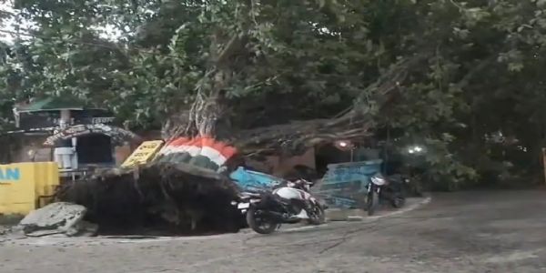 बिजनौर में बारिश से जनजीवन प्रभावित, सिविल लाइन चौकी पर पेड़ गिरने से कई बाइक क्षतिग्रस्त