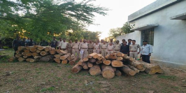 सागरः वीरांगना दुर्गावती टाइगर रिजर्व में बड़ी कार्रवाई: 52 नग अवैध सागौन की लकड़ी जब्त