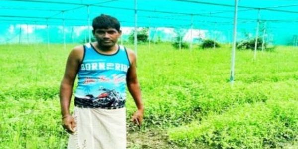 शासकीय योजना और तकनीकी मार्गदर्शन से बहोरन ने अपनाई आधुनिक उद्यानिकी खेती