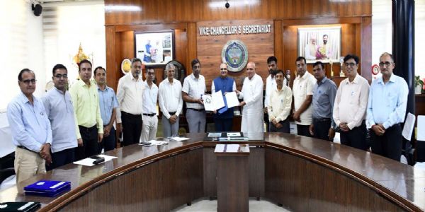 हिसार : अब प्रदेश में अधिक किसानों तक पहुंच सकेंगे एचएयू की सरसों के बीज