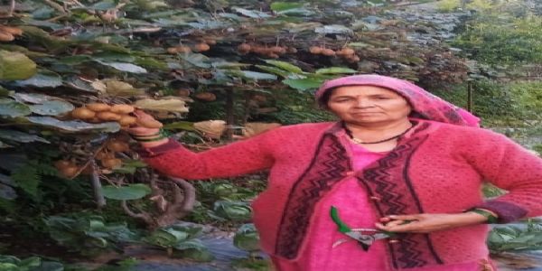 एकीकृत खेती से विजया की संवर रही आजीविका, हर माह 25 हजार की कमाई