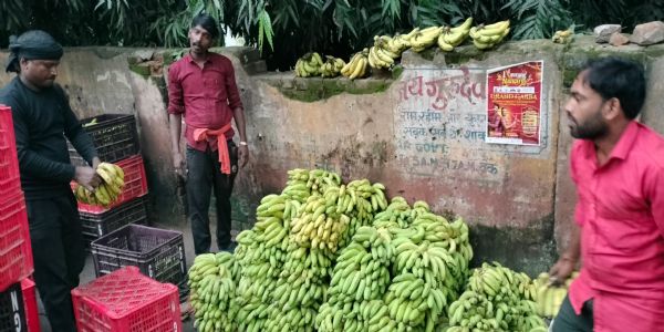 दुर्गा पूजा पर महंगाई की मार: भागलपुर के बाजारों में फलों के दाम बढ़े, श्रद्धालुओं का बजट बिगड़ा