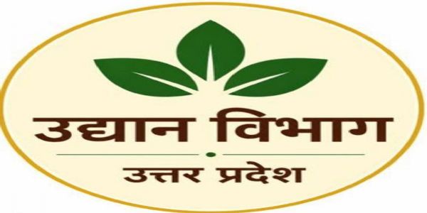 रबी सीजन के लिए नकद मूल्य पर मिलेगा आलू का बीज, पहले आओ -पहले पाओ