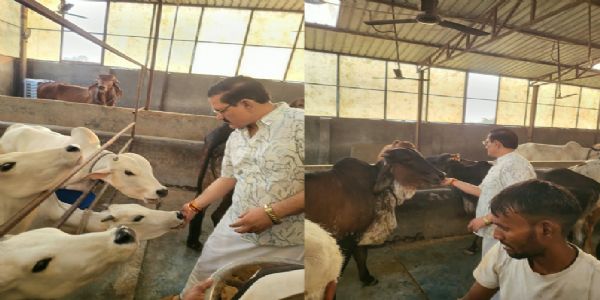 मथुरा केएम विश्वविद्यालय में शारदीय नवरात्र पर सप्तशती चंडी महायज्ञ