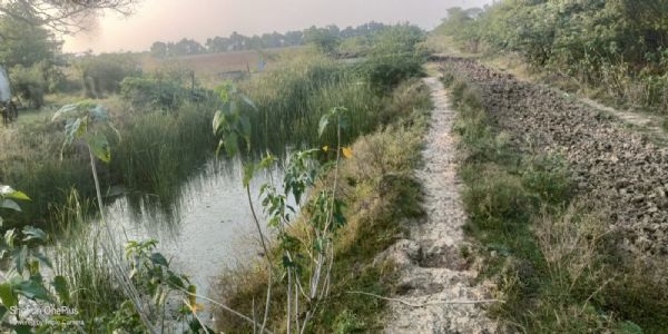 नहर सफाई के टेंडर खुले, 20 अक्टूबर से शुरू होगी सफाई