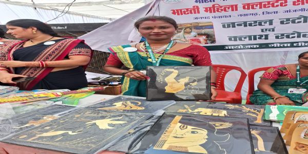 बिहान योजना से धनेश्वरी धीवर के हुनर को मिली नई पहचान, पैरा आर्ट बना आत्मनिर्भरता का आधार