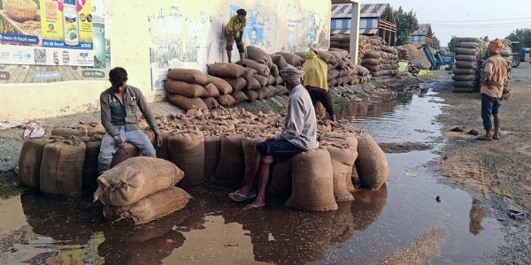 हिसार : बारिश से मंडी में भीगी धान, जलभराव से किसान-आढ़ती परेशान