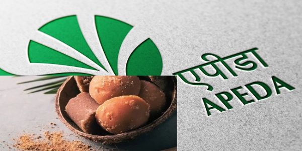 ताड़ के गुड़ पाउडर का प्रतिकात्मक चित्र