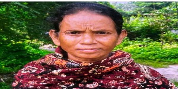 तेज रफ्तार वाहन की टक्कर से महिला की मौत
