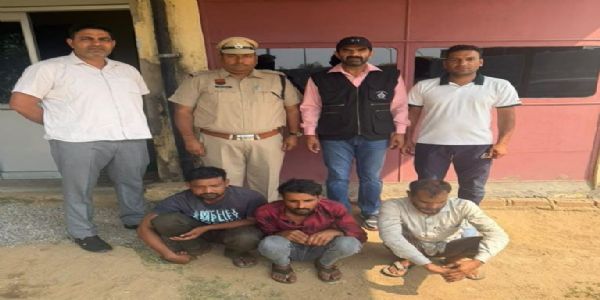 गुरुग्राम: दो करोड़ की लौंग चोरी, 20 टन माल और दो ट्रक बरामद