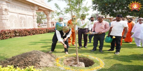 राम मंदिर में सप्त मंडप के पास ट्रस्ट पदाधिकारियाें ने किया पौधरोपण