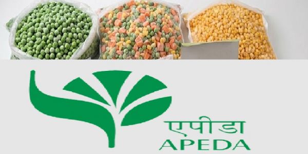 एपीडा के फ्रोजन फूड उत्पादों की निर्यात का प्रतीकात्मक चित्र एपीडा के फ्रोजन फूड उत्पादों की निर्यात का प्रतीकात्मक चित्र