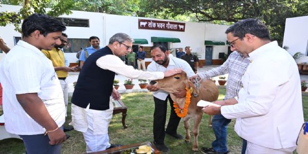 हरियाणा लाेक भवन में शुरू हुई गाैशाला,राज्यपाल ने किया उद्घाटन