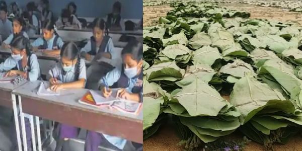 मप्र में तेंदूपत्ता संग्राहकों के बच्चों की पढ़ाई के लिए 5 करोड़ का लक्ष्य, छात्रवृत्ति बजट में 80 प्रतिशत बढ़ोतरी