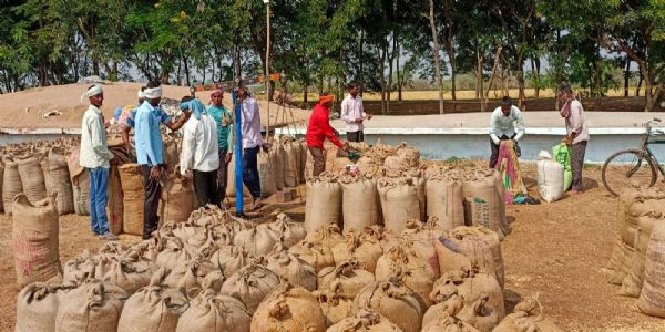 धान खरीद 3358 रुपये प्रति क्विंटल की दर से करने की मांग
