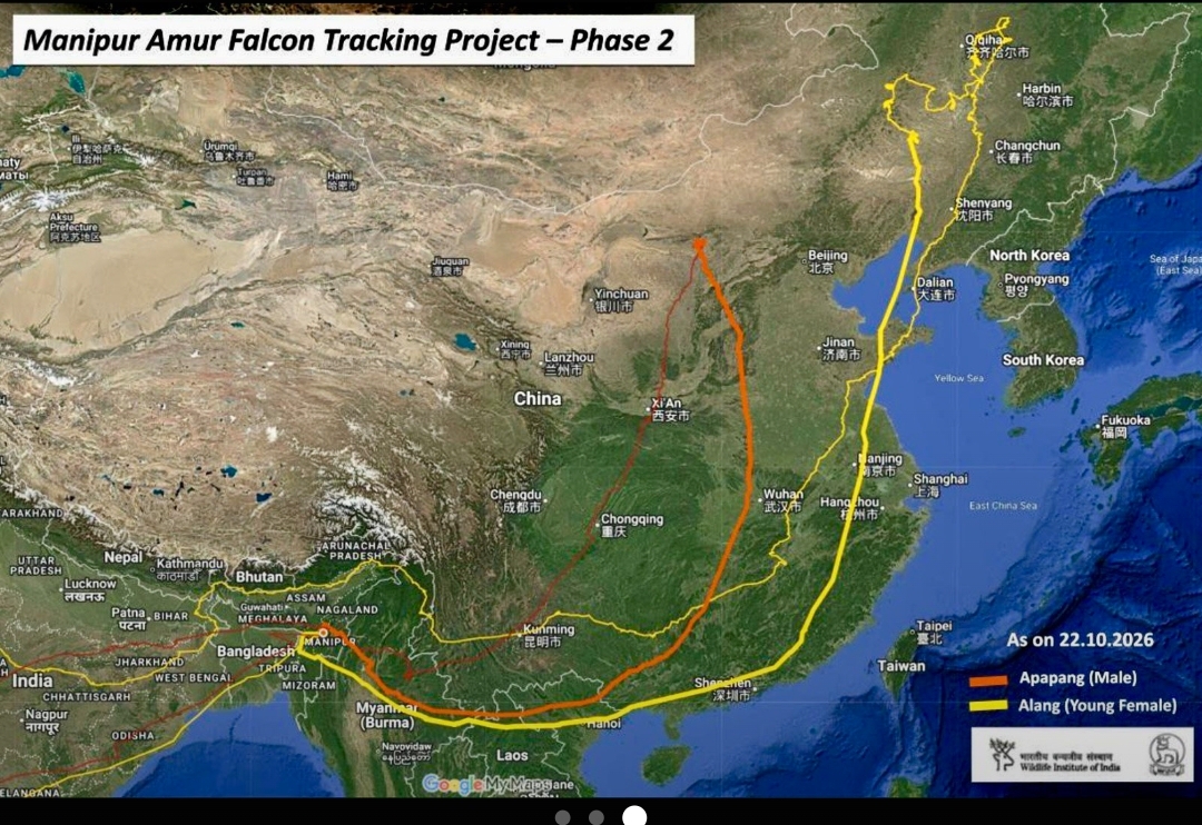 पक्षियों द्वारा तय की गई दूरी का नक्शा पक्षियों द्वारा तय की गई दूरी का नक्शा