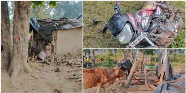 हाथियों के झुंड ने मकानाें काे किया तहत नहस, खूंटे से बंधे मवेशियों काे कुचलकर उतारा माैत के घाट