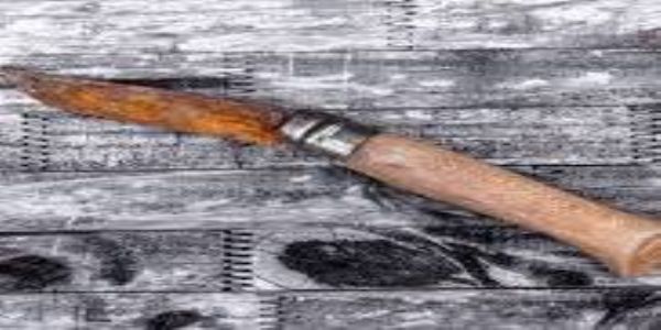 अवैध हथियारों के खिलाफ पुलिस का अभियान जारी