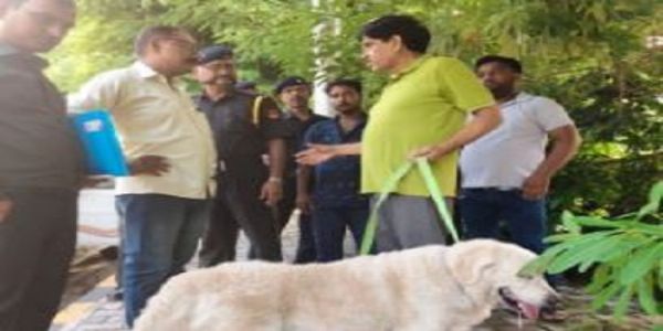 बिना लाइसेंस श्वान पालन पर नगर निगम लखनऊ ने चलाया सघन चेकिंग अभियान, वसूला जुर्माना