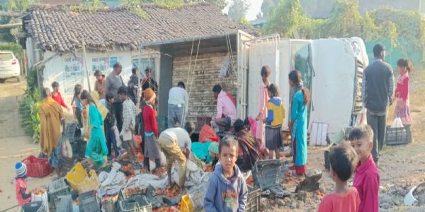 बलरामपुर में टमाटर से भरा पिकअप पलटा, सड़क पर बिखरे टमाटर समेटने उमड़ी भीड़