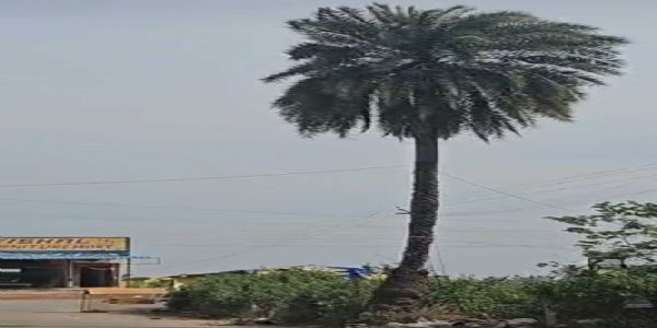 सुकमा जिला प्रशासन चक्रवात तुफान को लेकर सतर्क