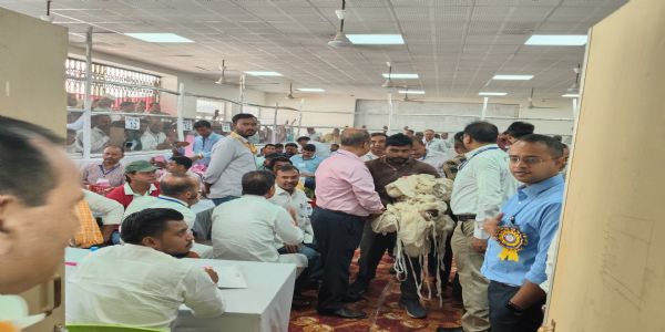 सारण शिक्षक निर्वाचन का मतगणना जारी, सुरक्षा के पुख्ता इंतजाम
