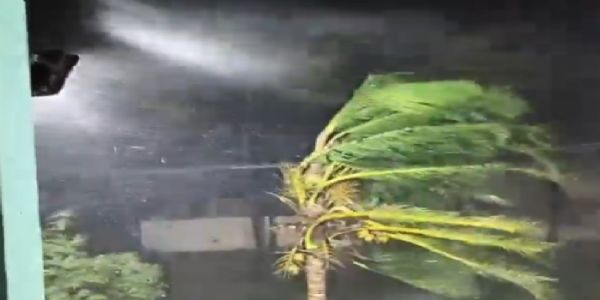 सांकेतिक। सांकेतिक।